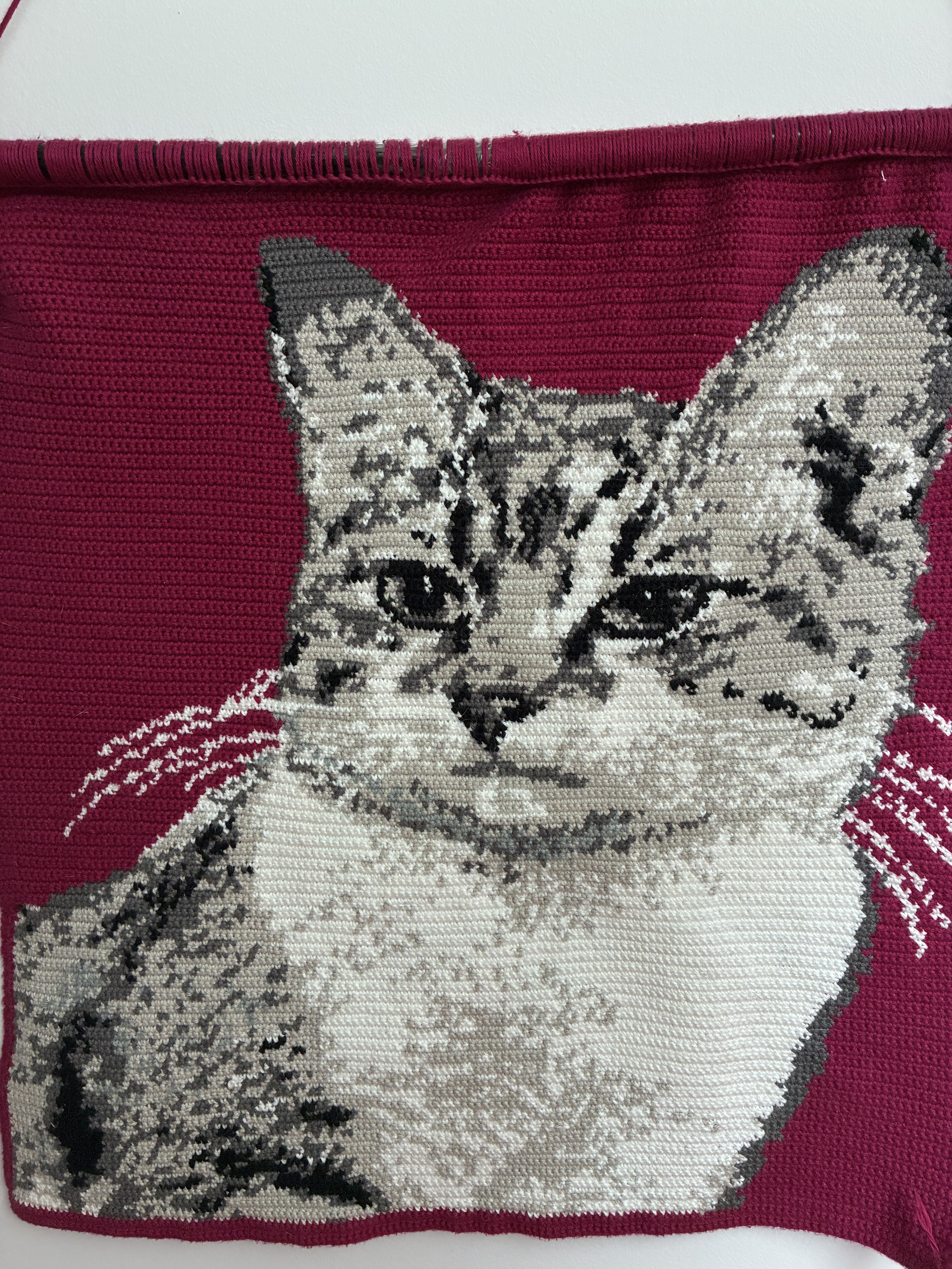 Tapestry 13